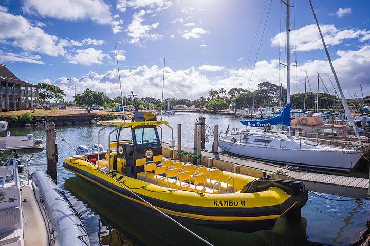 Oahu: Private North Shore Boat Charter