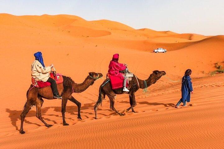 1 noite de passeio de camelo em Merzouga