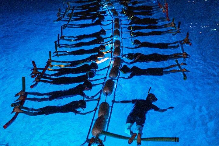 Snorkel con Manta Rays Garantito