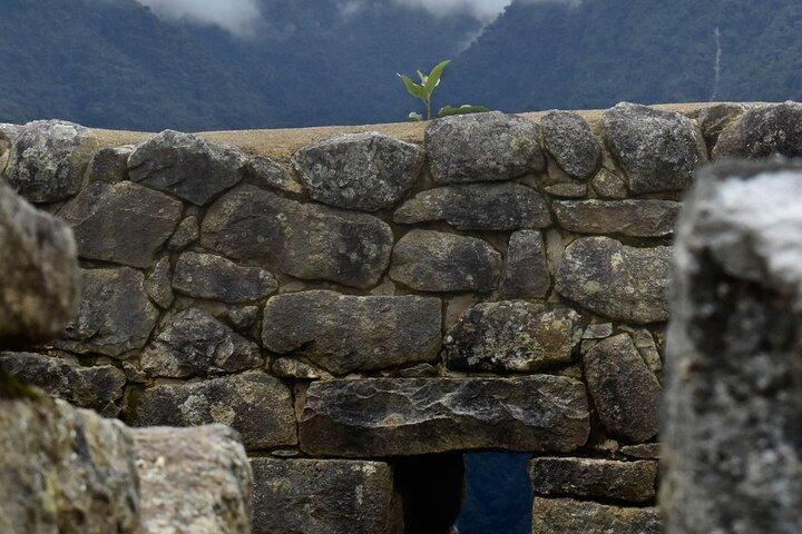 Machu Picchu heldagstur med tåg Expedition