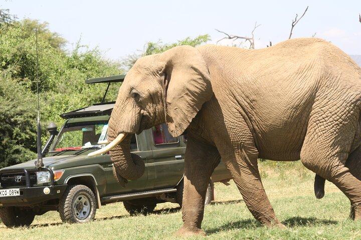 6 giorni di Samburu, Lake Nakuru e Masai Mara Safari