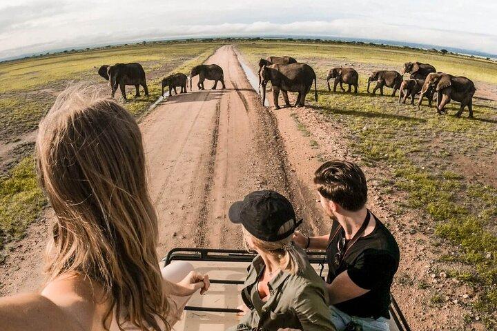 4 días | Safari compartido, Tarangire, Serengeti, Ngorongoro