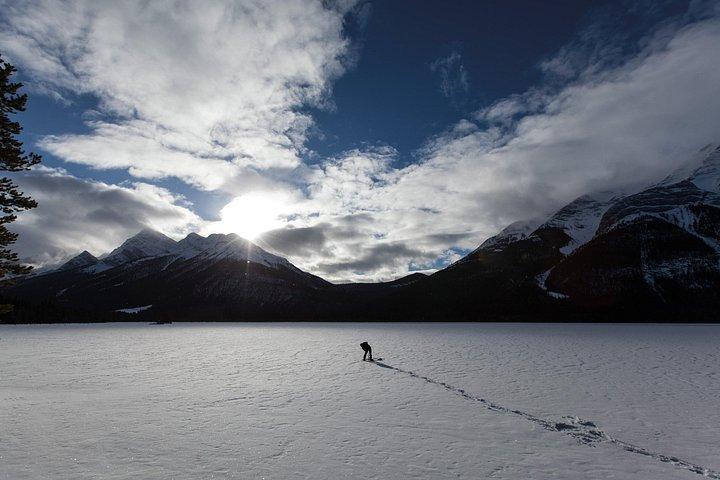 Wilderness and Wildlife Hiking Tour - 3hr Hike