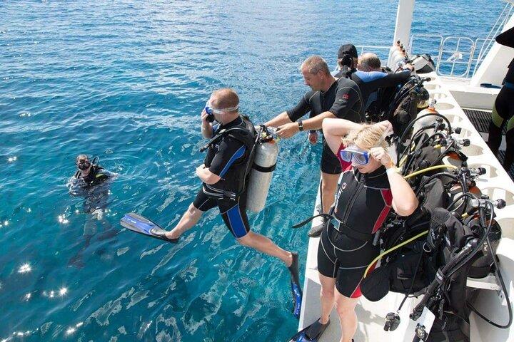Punta Cana: Ilha Catalina Snorkeling: The Wall & Aquarium Tour