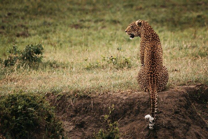 Masai Mara Luxury Safari 3 jours