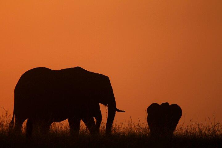 10 -Days Best of Kenya and Tanzania Classic Safari
