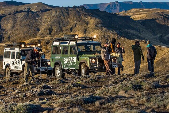 Safari-Erlebnis - Wildlife & Steppe