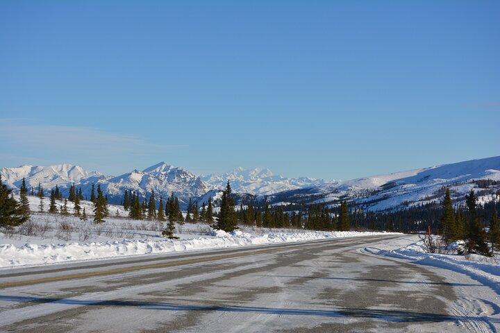 10 Stunden Denali Winter Drive in Alaska