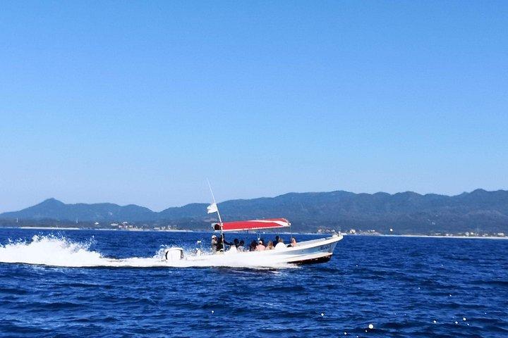 Private Whale watching Puerto Vallarta