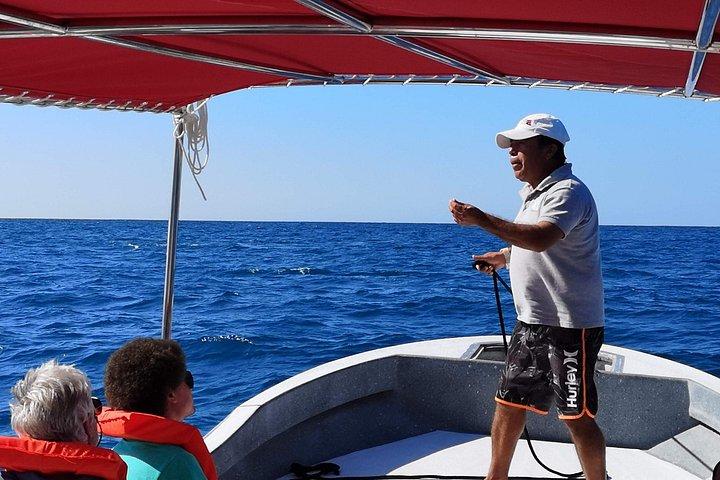 Private Whale watching Puerto Vallarta