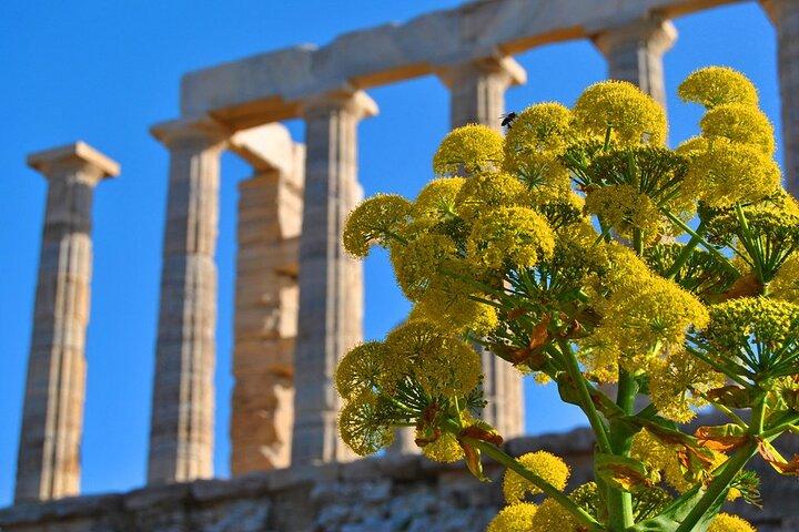 Tour privato di un'intera giornata ad Atene e al Tempio di Poseidone