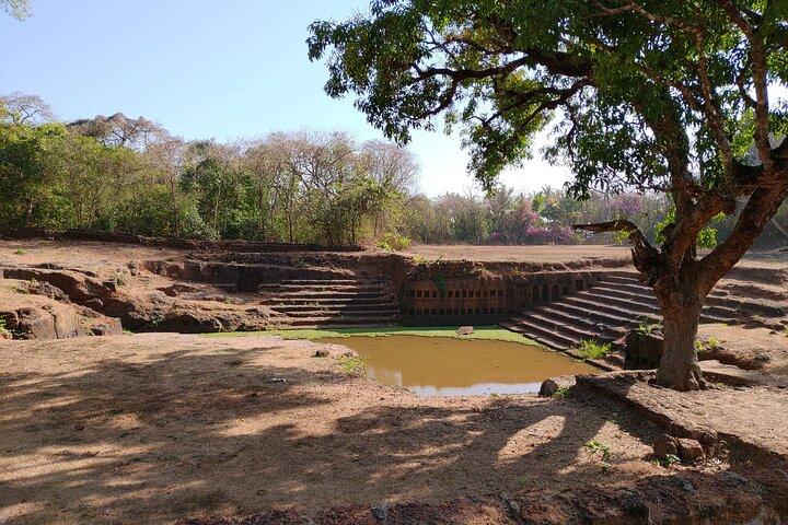Exploring Divar Island's Monsoon Charm