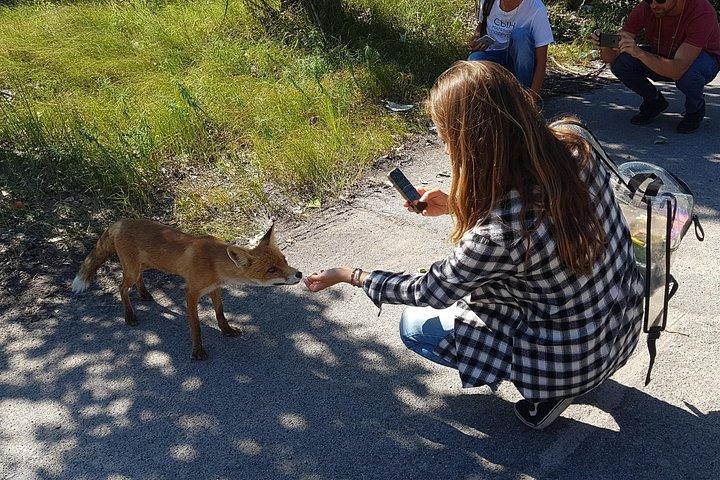 キエフからチェルノブイリ地帯への個人ツアー
