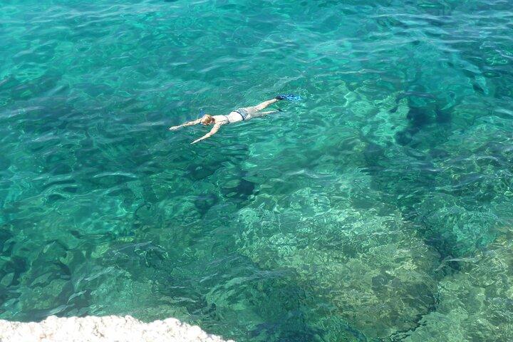 Tour in gommone per esplorare l' Area Marina Protetta di Tavolara
