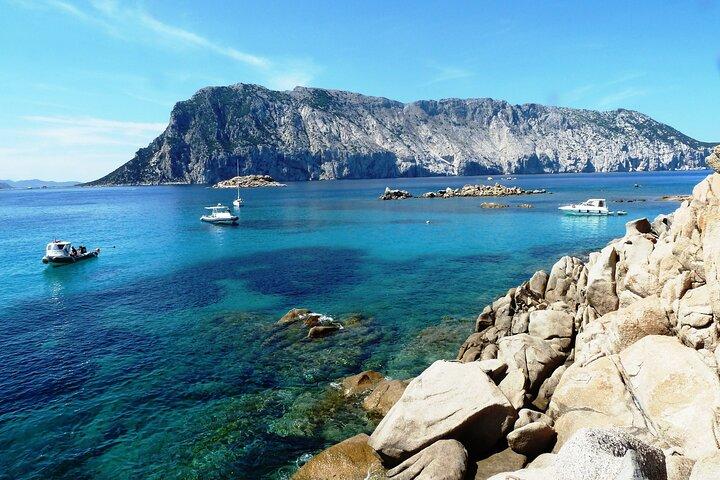 Boat tour to explore the Marine Protected Area of Tavolara