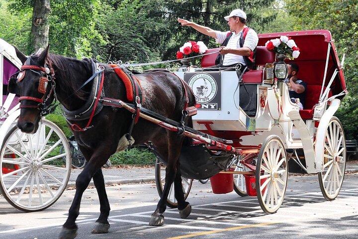 Kutschfahrt im Central Park mit Rückfahrt zur Tavern On Green (45 Min.)
