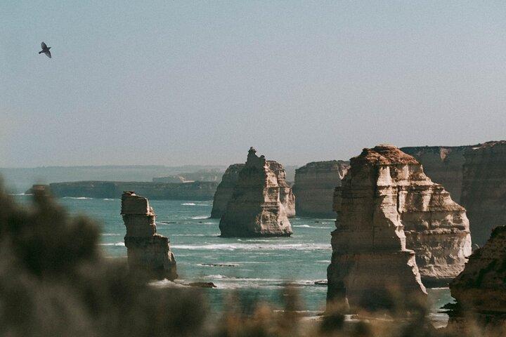 Excursion d'une journée ou d'une demi-journée avec un guide privé au départ de Melbourne
