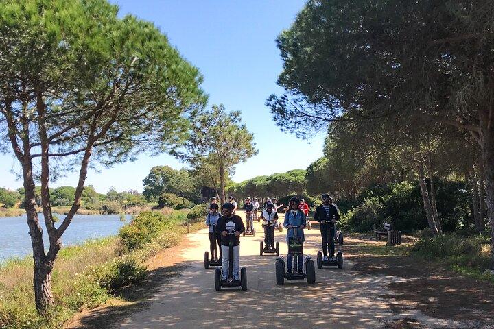 Naturpark Ria Formosa Vogelbeobachtungs-Segway-Tour ab Faro