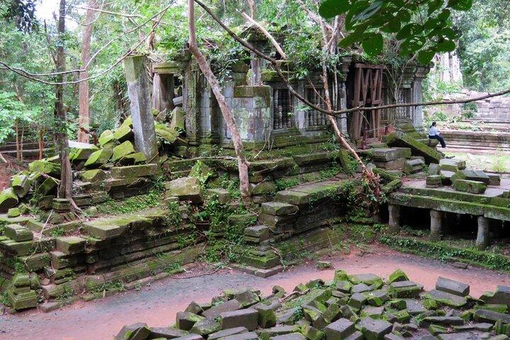 Explore Beng Mealea and Banteay Srei