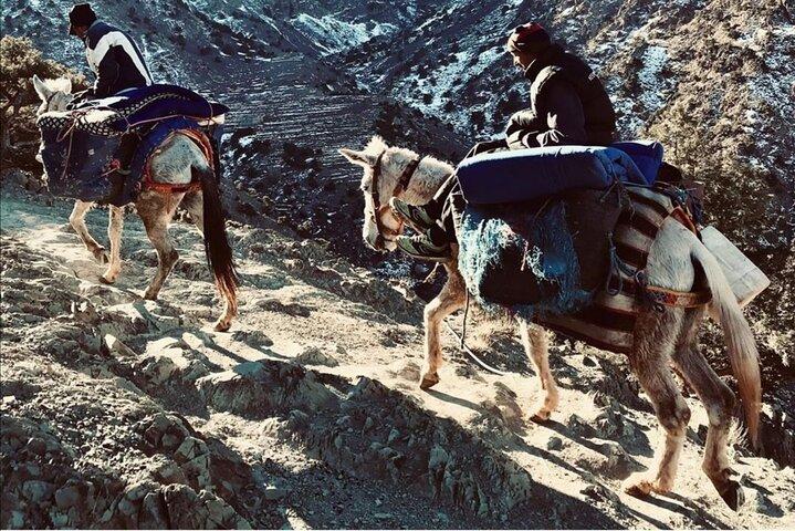 Från Marrakech : 2 dagar Mount Toubkal trek