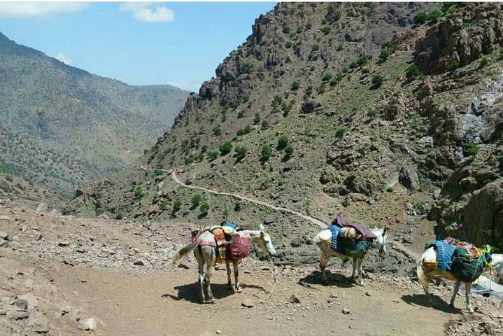 Från Marrakech : 2 dagar Mount Toubkal trek