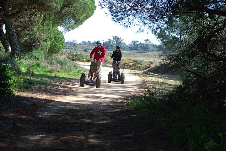 Naturpark Ria Formosa Vogelbeobachtungs-Segway-Tour ab Faro