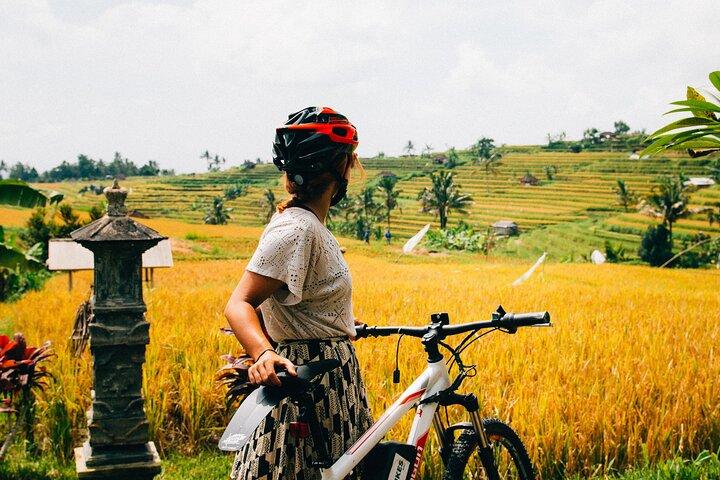 Mezza giornata di Ubud Rice Field and Village Cycling Tour