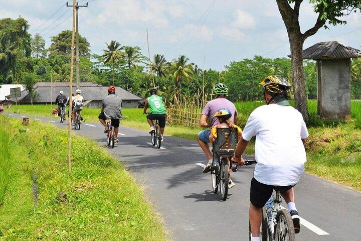 Mezza giornata di Ubud Rice Field and Village Cycling Tour