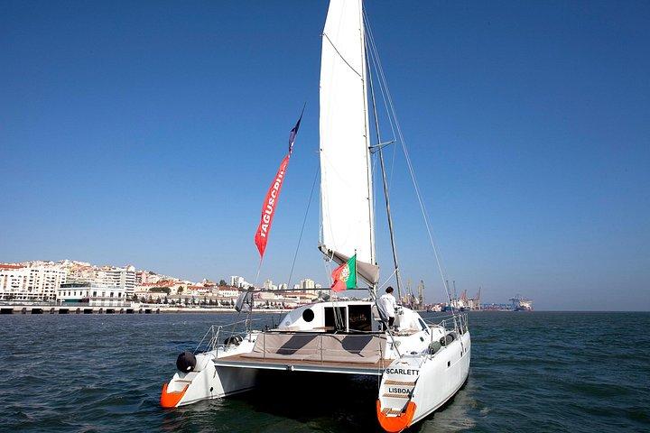 最大16名まで乗船可能なプライベートセーリングカタマラン「スカーレット」での2時間ツアー