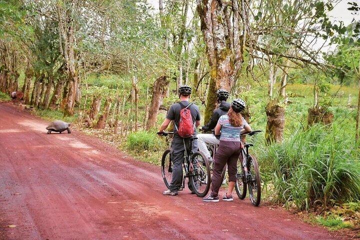Santa Cruz Highlands fietstour & gigantische schildpadervaring