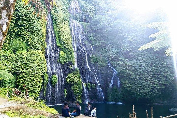 忘れられないロビナツアー、イルカとバニュマラ滝を見る