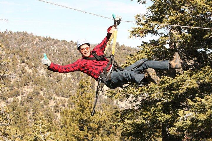Tour de tirolesa - 9 tirolesas de alta velocidade e ponte suspensa divertida