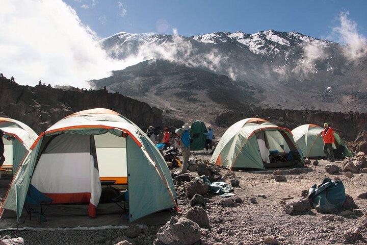 8 dages klatring af Kilimanjaro Machame-ruten i Tanzania