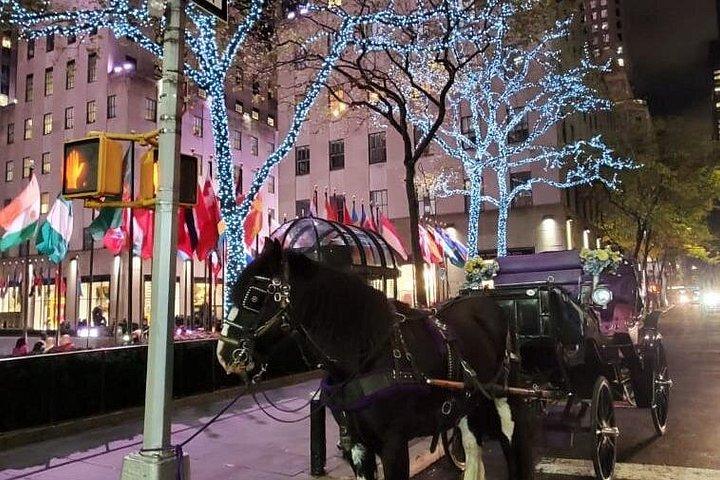 ニューヨーク市のクリスマスイルミネーションを楽しむ専用馬車乗車