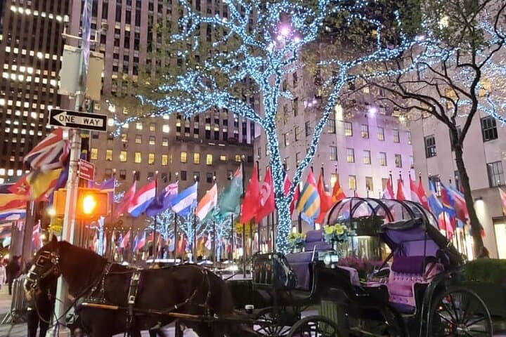 New York City Christmas Lights Private Horse Carriage Ride