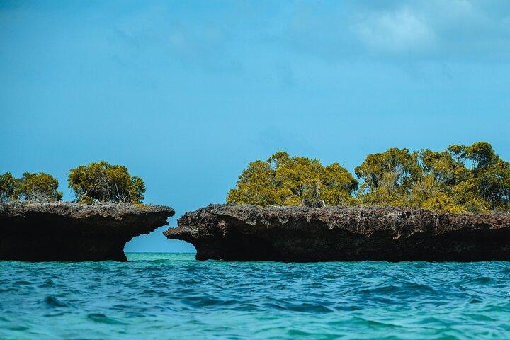 Volledige dagsafari Blauw Zanzibar