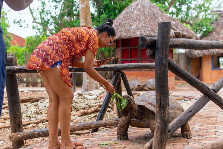 ザニバル監獄島ボートトリップ
