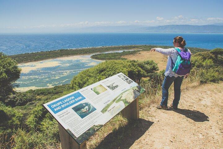 Visita guiada clásica de un día a la isla Kapiti
