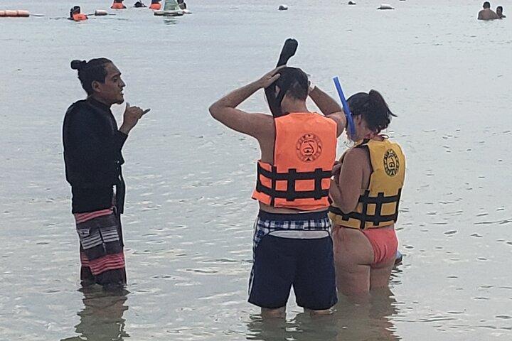 Swim with sea turtles
