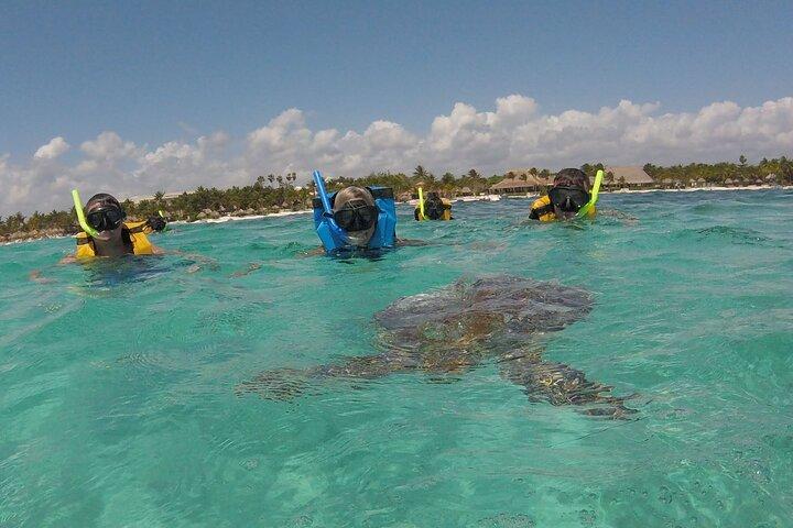 Swim with sea turtles