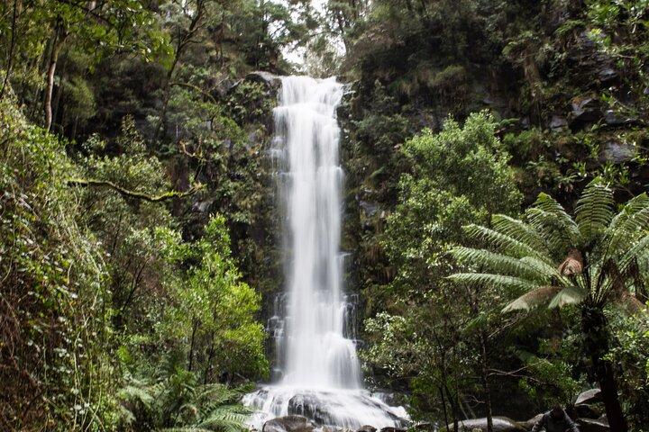 Private Great Ocean Road - L'aventure australienne ultime