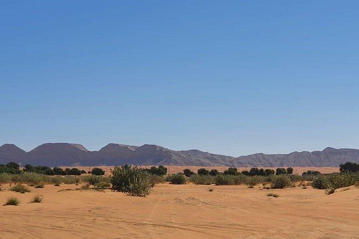 Reise ins Herz der Emirate