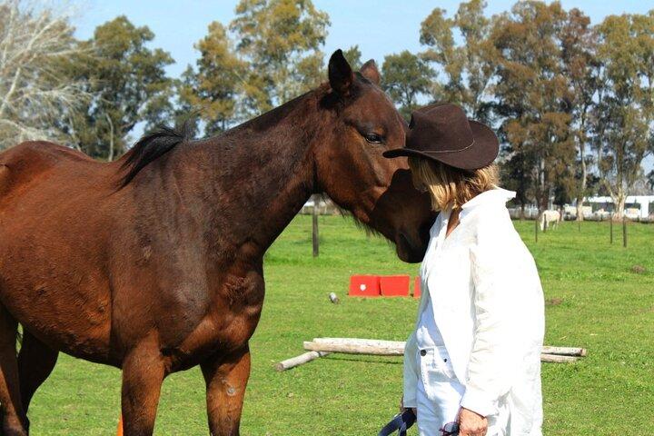 Coaching avec des chevaux à Buenos Aires, Argentine