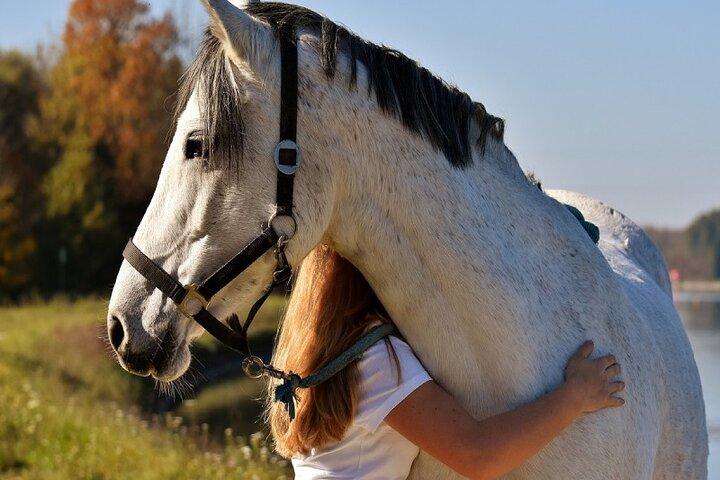 Coaching avec des chevaux à Buenos Aires, Argentine