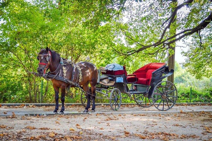 Privat køretur med hest til Vrelo Bosne
