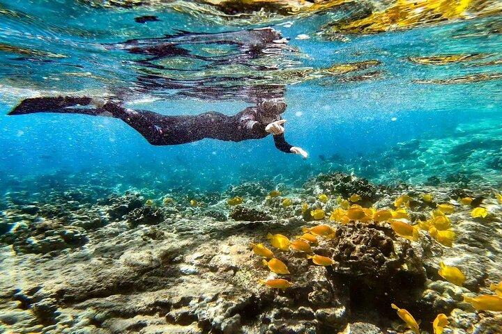 Two Reef Snorkeling Trip-See Captain Cook Monument & Sea Caves