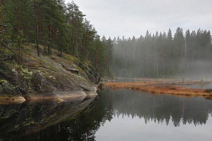 Halfdaags natuuravontuur naar Nuuksio National Park vanuit Helsinki