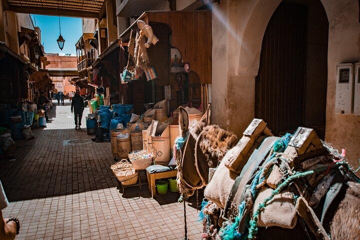 Heldagstur i Marrakech
