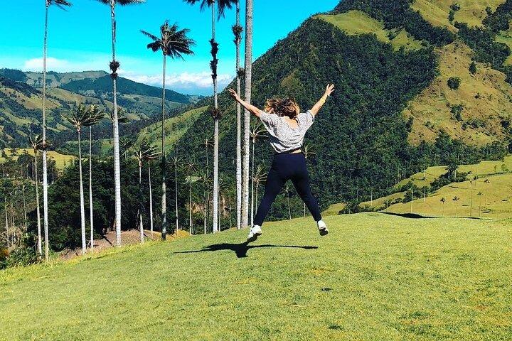 Salento Valle del Cocora e Filandia