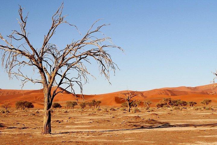 3 Days Sossusvlei Safari (Lodging) Namibia
